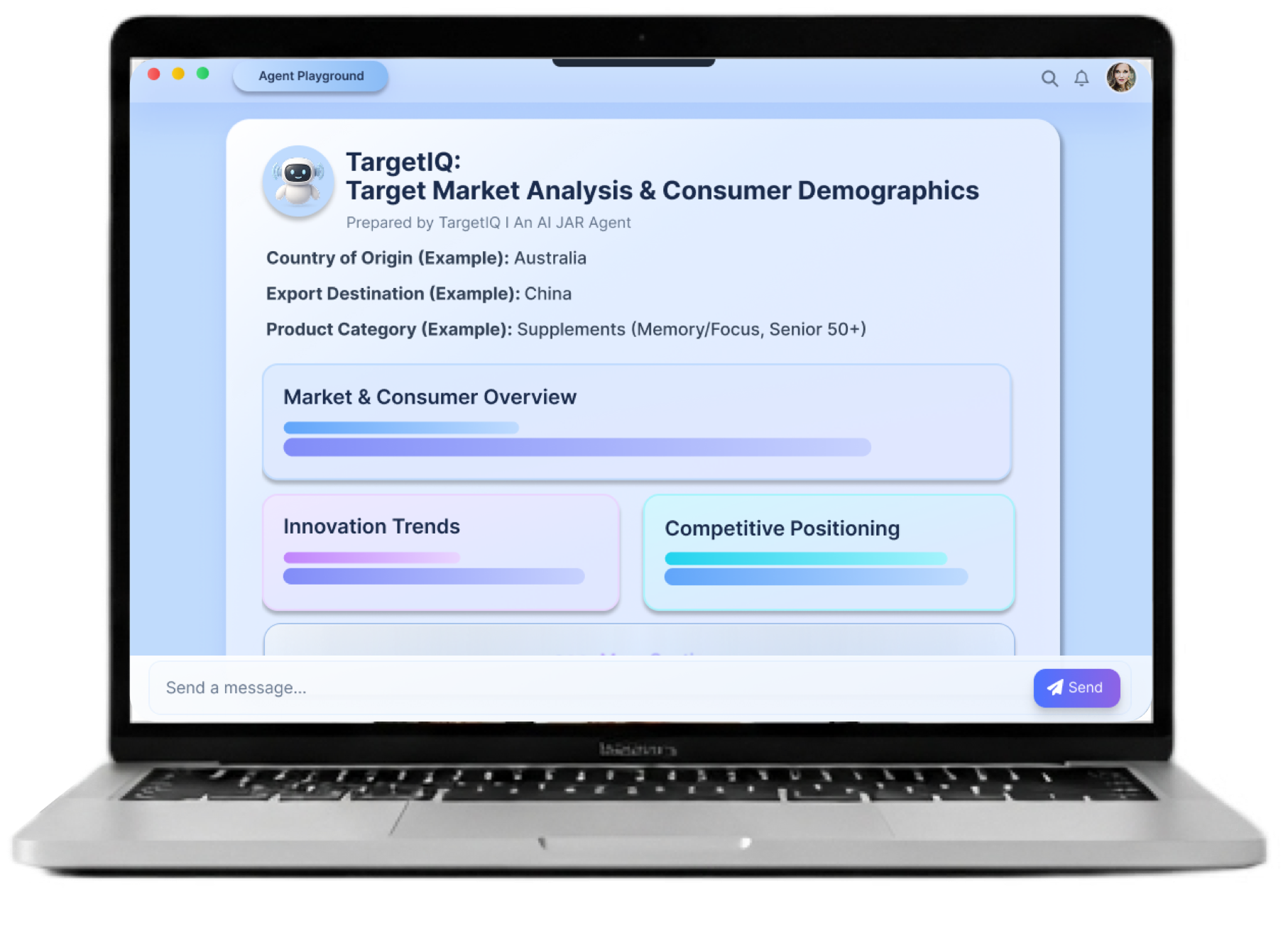 TargetIQ marketing report